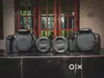 Camera rent