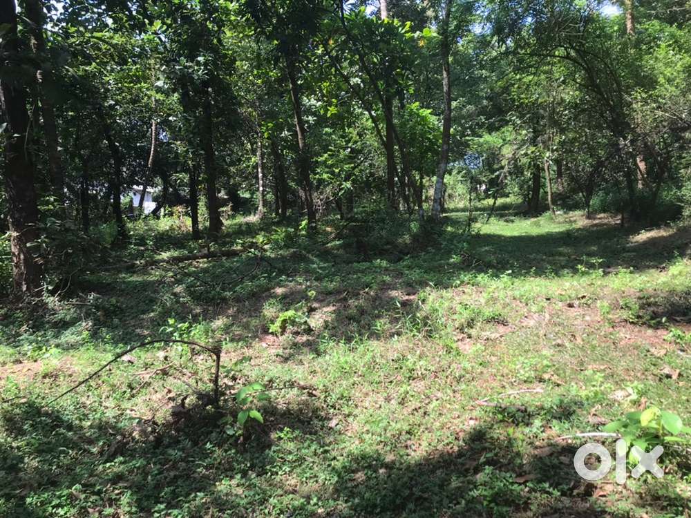 34 cent for sale in dharmassala near Engineering college