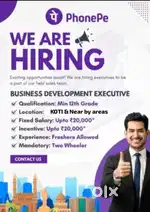 BUSINESS DEPLOYMENT EXCUTIVE