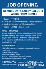 Job Opening - Remote Data Entry Executive (Work From Home)   Salary -