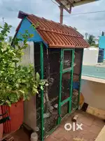 Birds Cage Metal