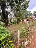 5 Cent (202.34 sq.m) prime plot (sale) in Virajpet, Coorg. Negotiable.