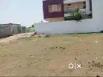 Arjent sell my property in shahdol
