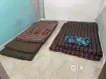 5 Gadda , 2 Piece Pillow