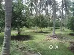 10cent land for rent or lease
