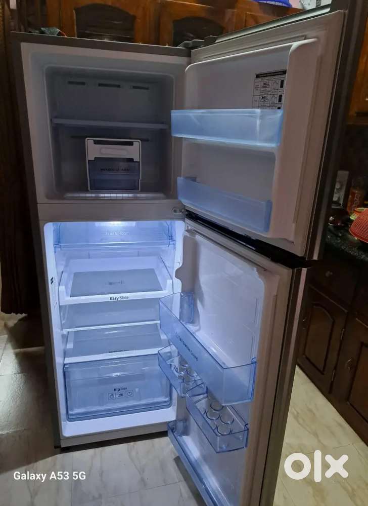 Refrigerator May 2024 Model