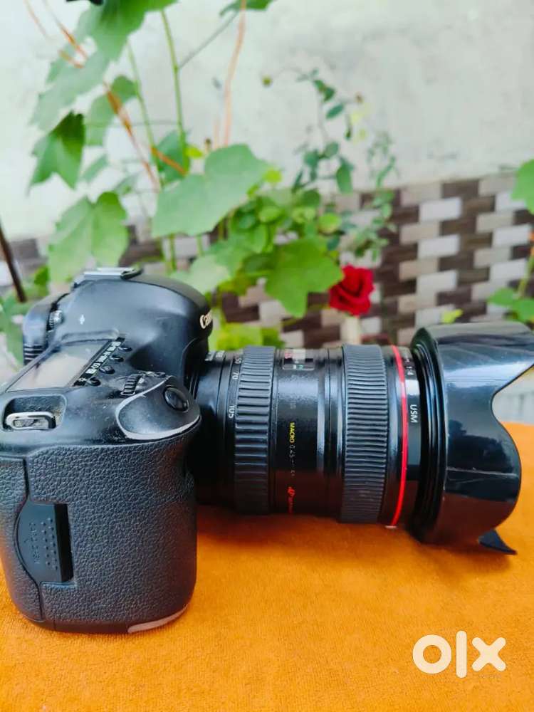 Canon 5d mark3, full frame ,24-105mm,50mm 1.8