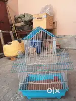 Cage at sale