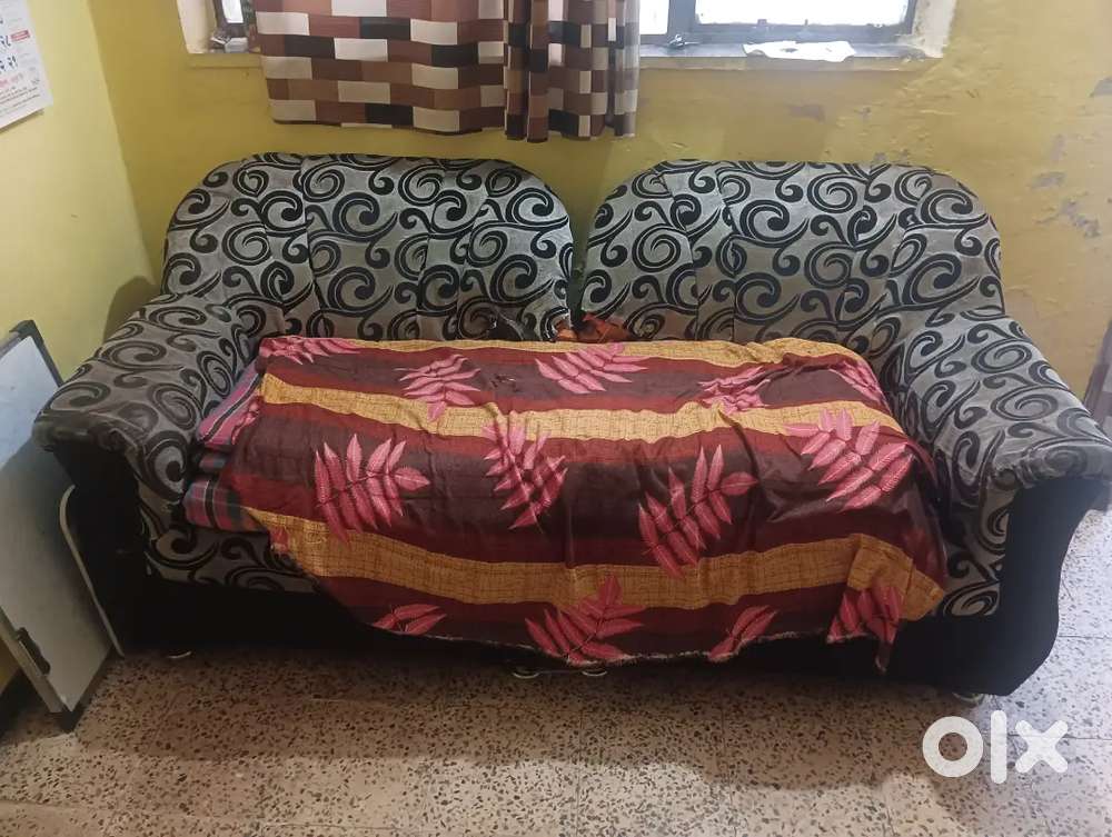 Sofa for hall