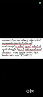 Wanted office staff