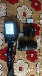Canon 1300d with 250mm lens