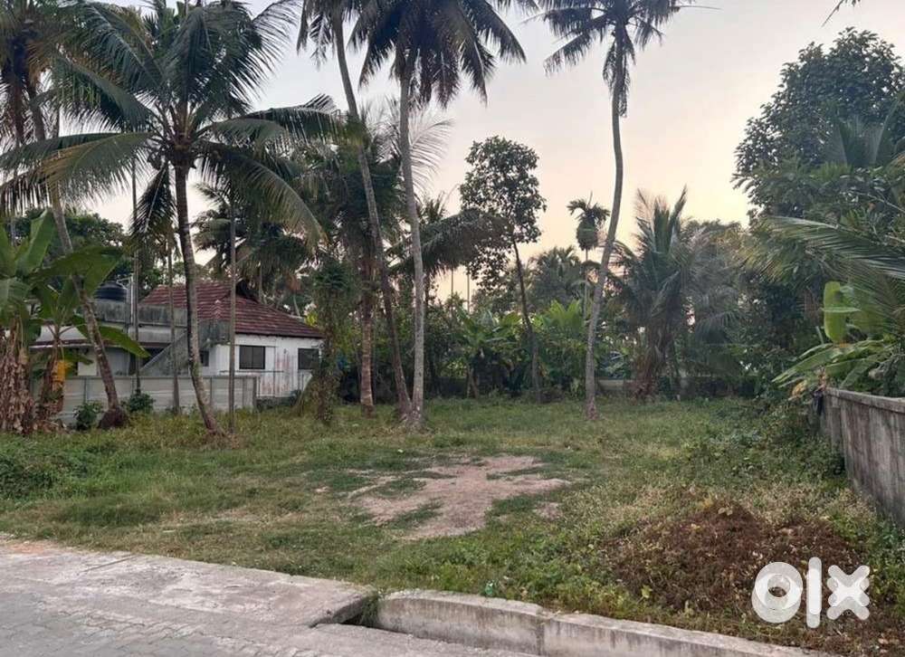 9.50 cent plot for sale in Ezhikara north paravoor