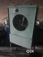 Cooler  one year old