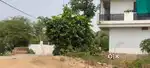 Freehold plot