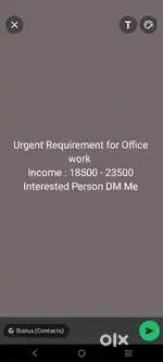 Totally Official Work