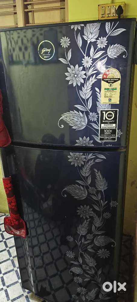 Godrej 255 L 2 Star Inverter Frost-Free Double Door Refrigerator