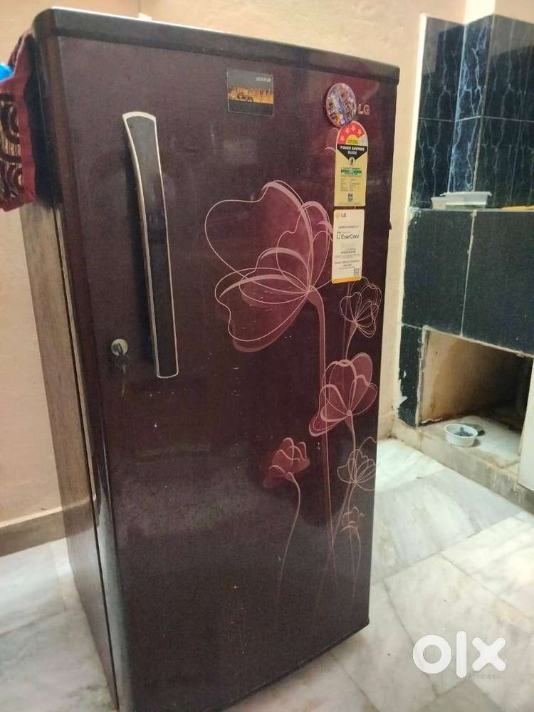 Lg Refrigerator