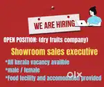 Sales Staff all kerala