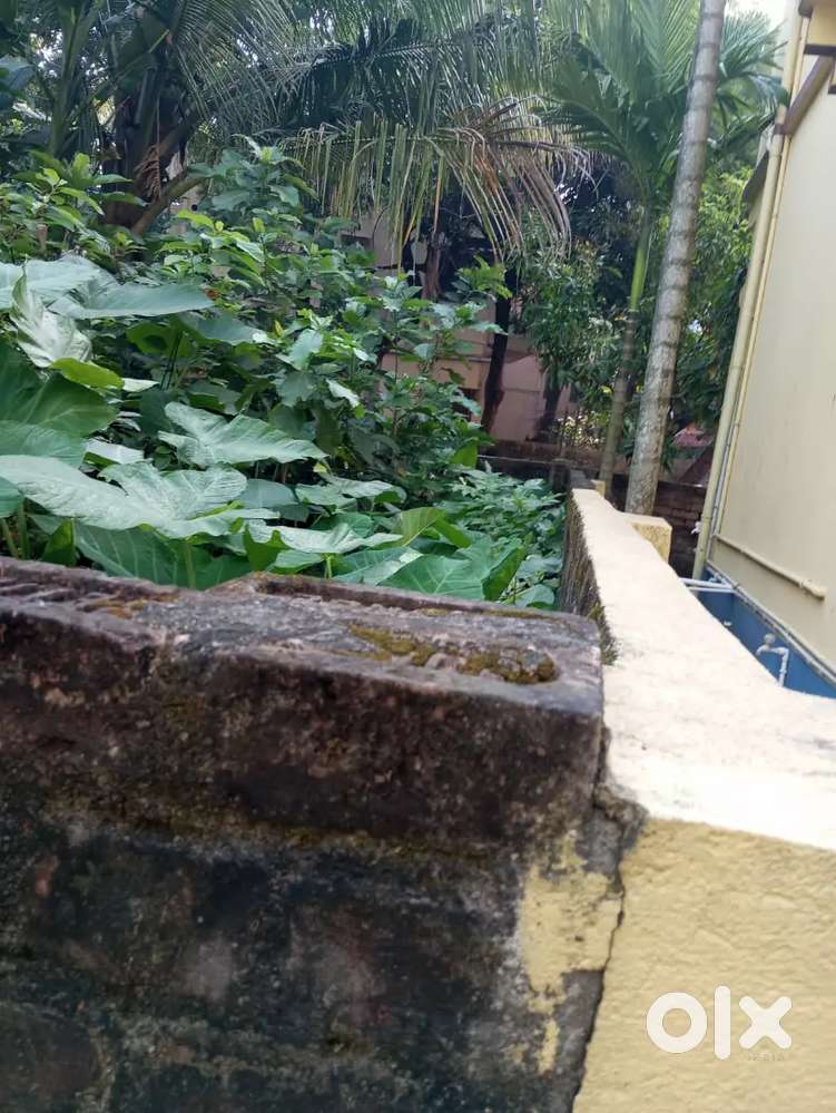 A land to be sold located at Sodepur, Pansila