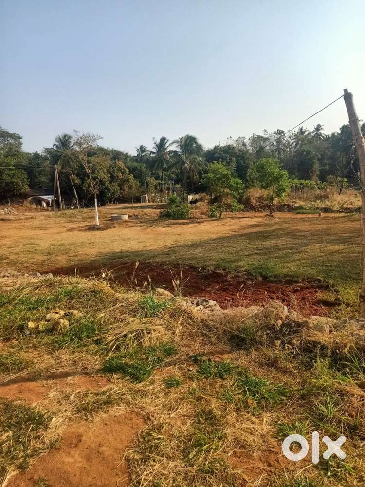 Plots for sale in Para, Palakkad