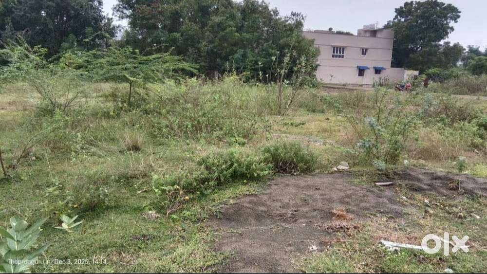 71.50 L for 5.5 cent