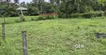 8 cent plot cheftala St Michael's college Nh 700 mtr