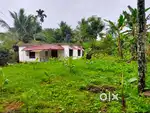 For Sale: Prime 7-Cent Plot on Calicut-Mysore Highway