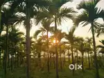 Agriculture land