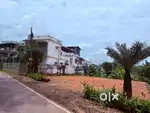 8 cent land for sale Kakkanad EDACHIRA