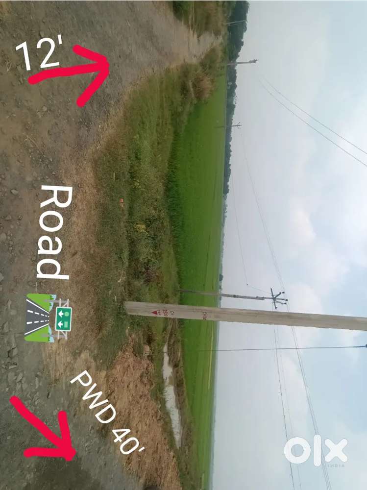 ১ বিঘা জমির দাম ১২,০০,০০০(আড্ডা, কুতুরা)