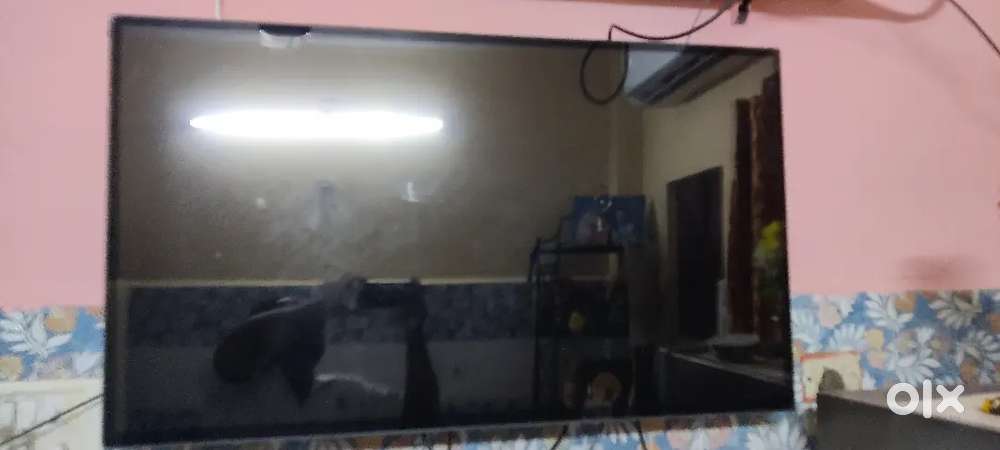 43 screen television 6month old