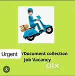 Documents collection job vacancy urgent hiring