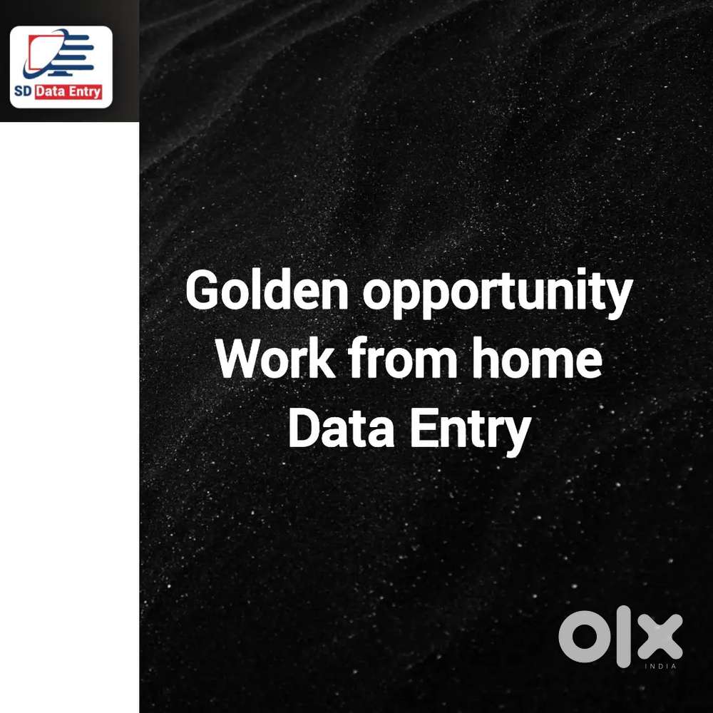 Golden opportunity work from home data entry