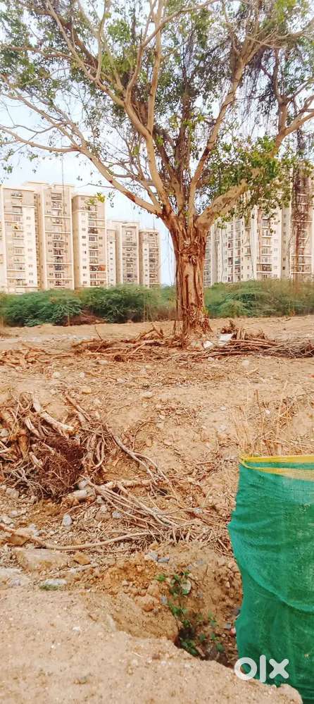 ECR NEELANKARAI VACANT LAND FOR RENT