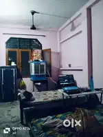 Need room mate.