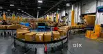 IMMEDIATE HIRING IN WAREHOUSE OUTLETS APPLY NOW
