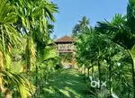 Property with farm land with house for sale -2 acres- pudukkad-pazhaye