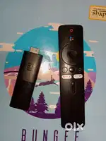 Mi fire stick with remote