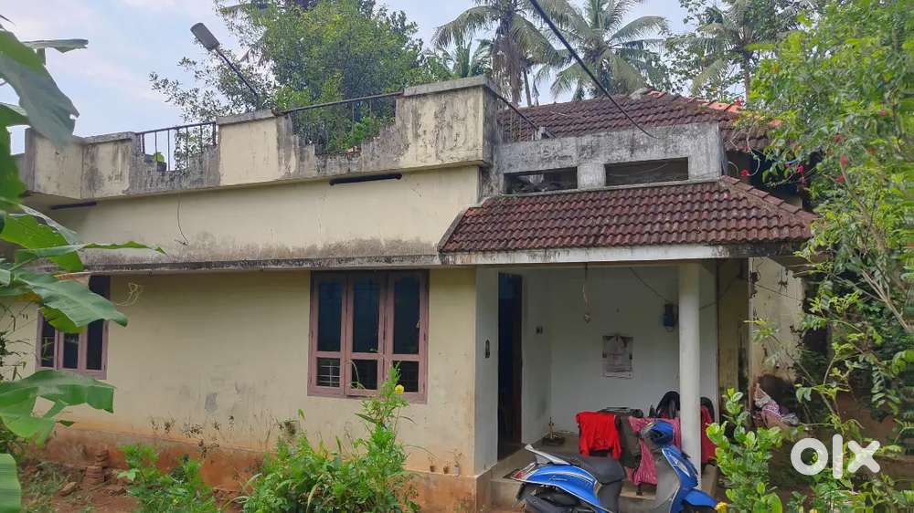 12.5 cent for sale in Pothencode (Trivandrum)