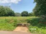 Aloor to Kurundancodu Samivilai