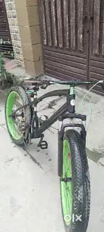 Fat bike (without gear)