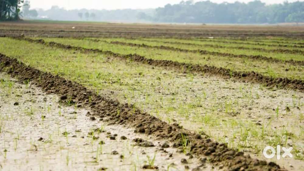 Semi constructed plot For Rent