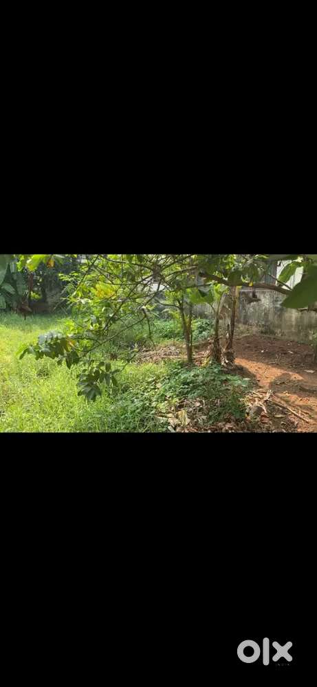 8 cents plot for sale in Patturaikkal, Thrissur
