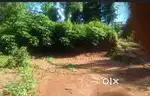 6 gonda plot with 8 foot road next of 1 plot jogendra nagar  station