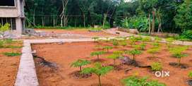 PLOTS FOR SALE PEACHINGACHIRA INFOPARK 8 KM DISTANCE