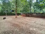 Land Plot for Sale at Anjumoorthy Mangalam