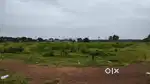 LAND for Rent Or Lease