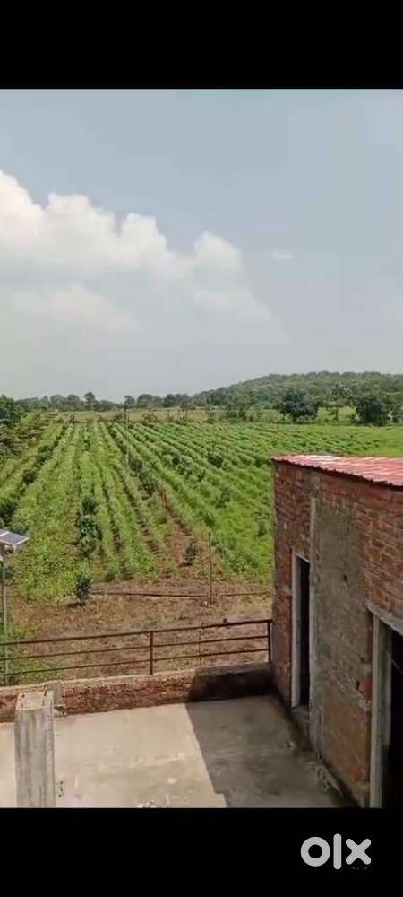 90 acre  irrigated land at 10 lakh per acre