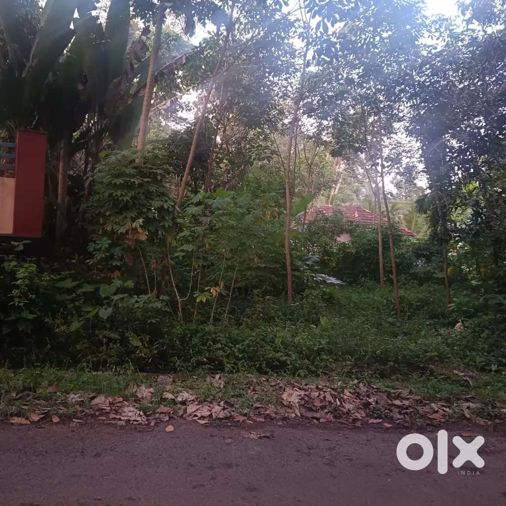 Padanilam pazhanjiyoorkonam 100mtr road side 30cent property sale plan