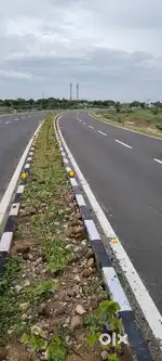 Commercial land